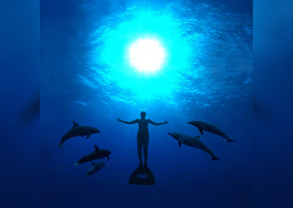 #20. The Cove (2009)